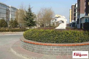 柏林在线观看,虚拟漫步这座历史名城的魅力瞬间 第1张 柏林在线观看,虚拟漫步这座历史名城的魅力瞬间 第1张