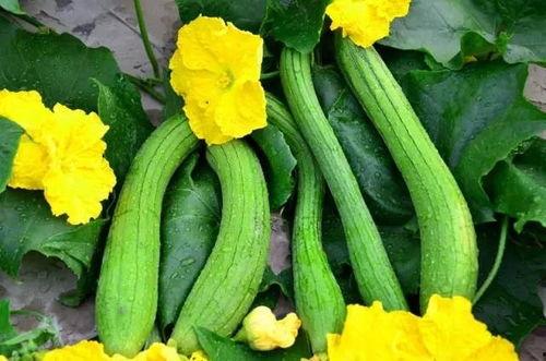 卡点音乐娱乐吃瓜,吃瓜群众揭秘幕后故事  第1张